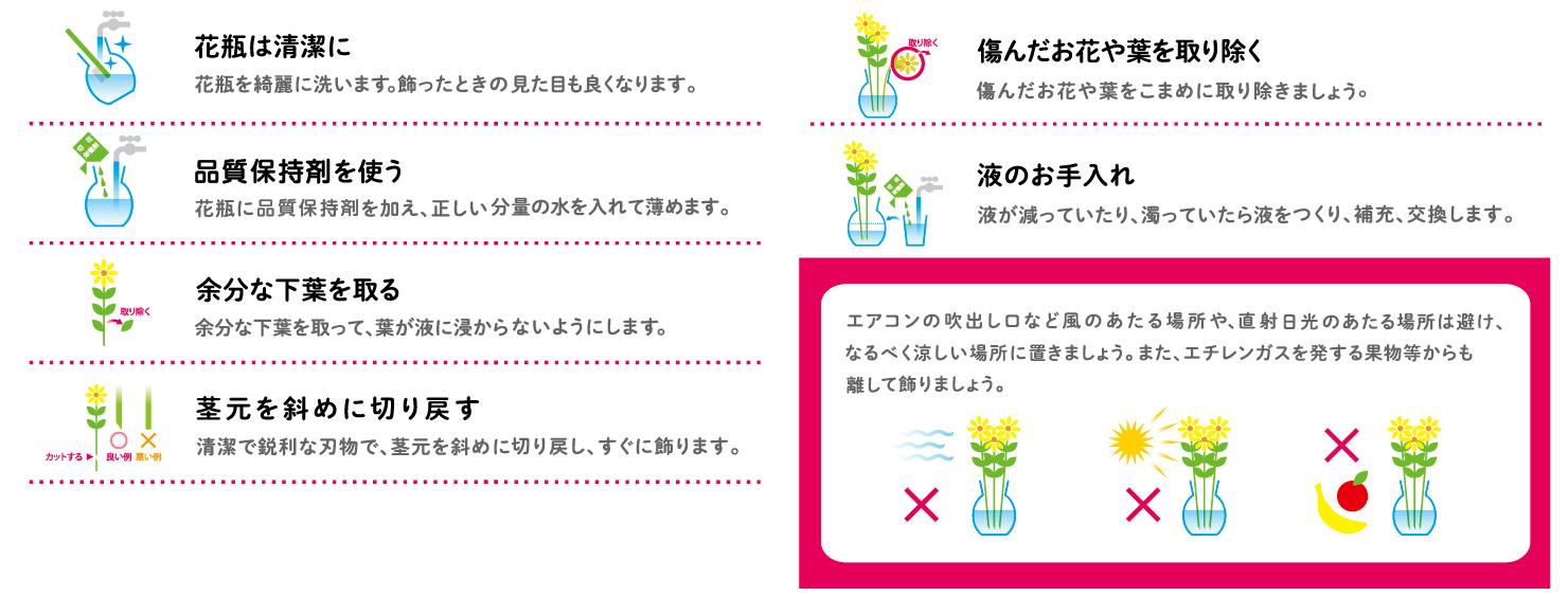 花を長持ちさせるヒント