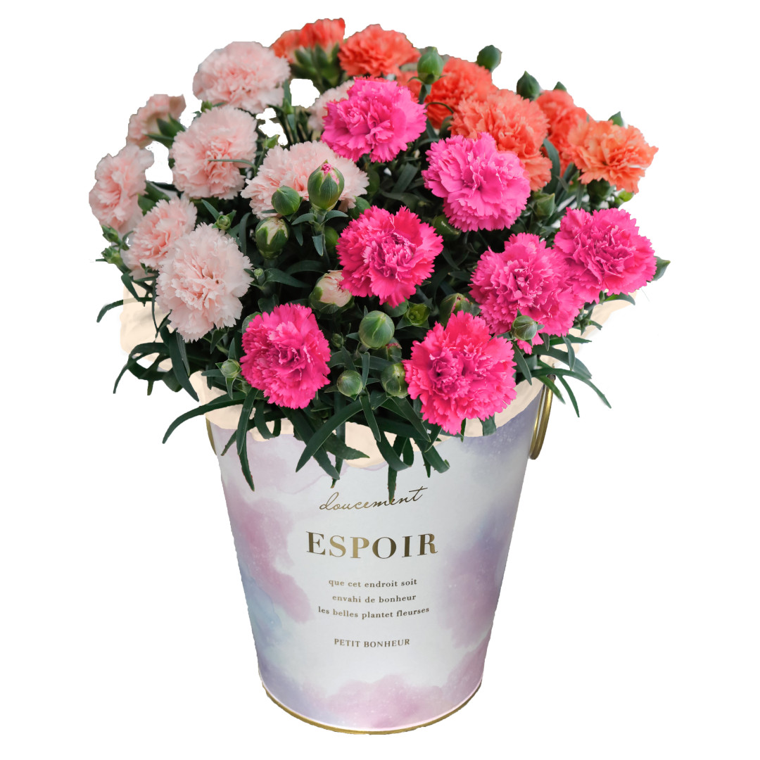 916f13bfa7d704e723cc46e42c7cdb