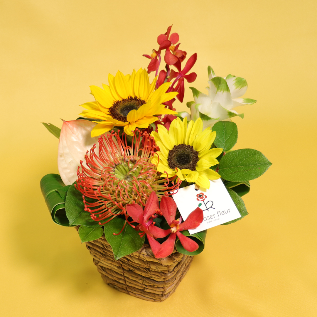 Summerアレンジ | ルポゼ・フルール - イオンのお花専門店